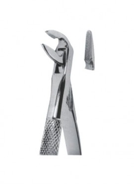 Extracting  Forceps - English Pattern