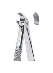 Extracting  Forceps - Mead Pattern