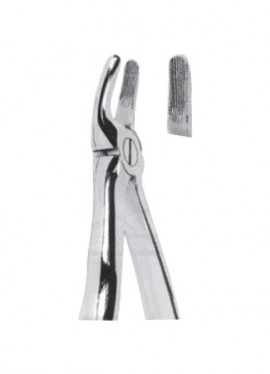 Extracting  Forceps With Anatomically Shapad Handl