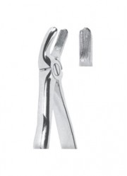 Extracting  Forceps With Anatomically Shapad Handl