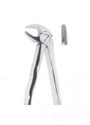 Extracting  Forceps With Anatomically Shapad Handl