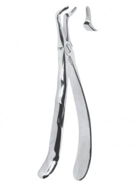 Extracting  Forceps With Anatomically Shapad Handl