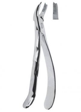 Extracting  Forceps With Anatomically Shapad Handl