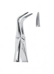 Extracting  Forceps With Anatomically Shapad Handl