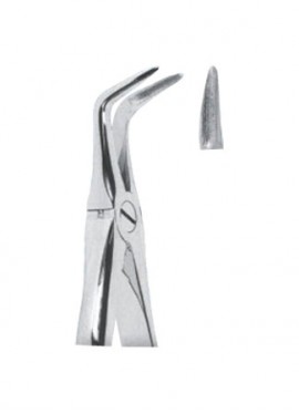 Extracting  Forceps With Anatomically Shapad Handl