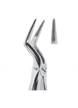 Extracting  Forceps With Anatomically Shapad Handl