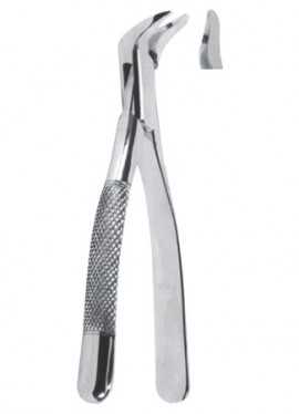 Extracting  Forceps - American Pattern