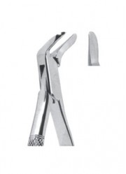 Extracting  Forceps - American Pattern