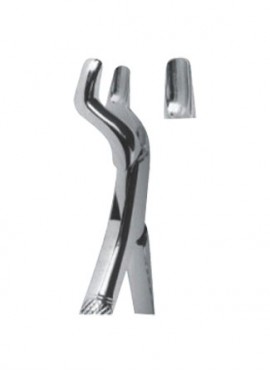 Extracting  Forceps - American Pattern