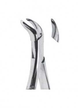 Extracting  Forceps - American Pattern