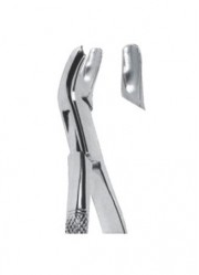 Extracting  Forceps - American Pattern