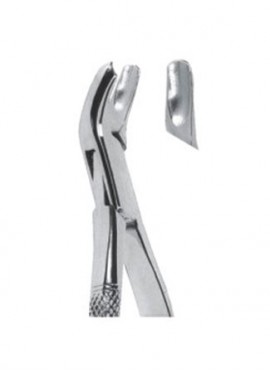 Extracting  Forceps - American Pattern