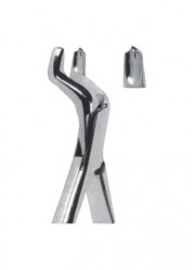 Extracting  Forceps - American Pattern