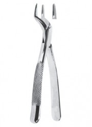 Extracting  Forceps - American Pattern