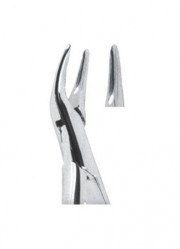 Extracting  Forceps - American Pattern