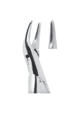 Extracting  Forceps - American Pattern