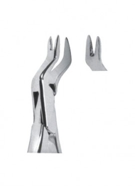 Extracting  Forceps - American Pattern