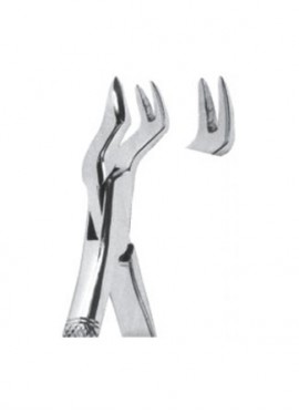 Extracting  Forceps - American Pattern