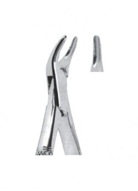 Extracting  Forceps - American Pattern