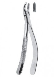 Extracting  Forceps - American Pattern