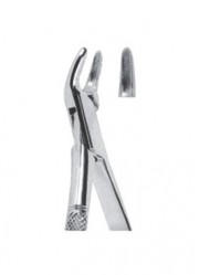 Extracting  Forceps - American Pattern