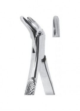 Extracting  Forceps - American Pattern