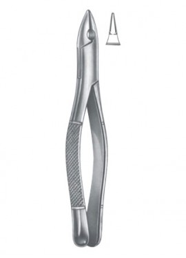 Extracting  Forceps - American Pattern