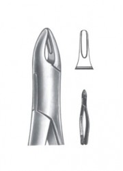 Extracting  Forceps - American Pattern