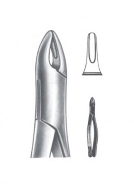 Extracting  Forceps - American Pattern