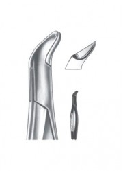 Extracting  Forceps - American Pattern