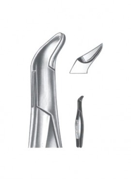 Extracting  Forceps - American Pattern