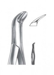 Extracting  Forceps - American Pattern