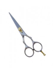 Professional Hair Cutting Scissor