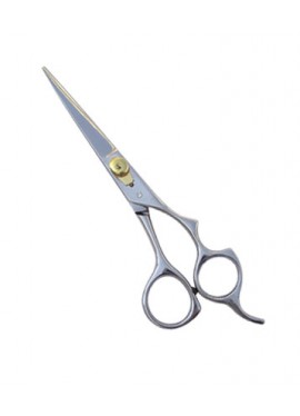 Professional Hair Cutting Scissor