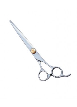 Professional Hair Cutting Scissor