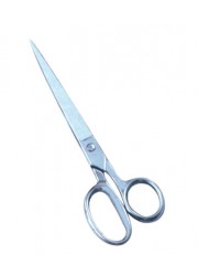 Taylor Scissors Sharp Points