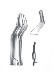 Extracting  Forceps - American Pattern