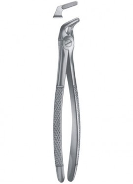 Extracting Forceps - English Pattern