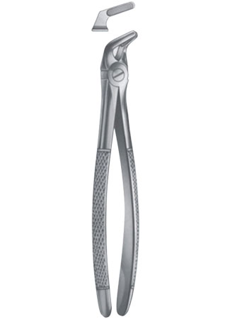 Extracting Forceps - English Pattern