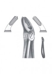 Extracting Forceps - English Pattern