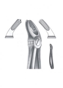 Extracting Forceps - English Pattern