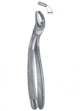 Extracting Forceps - English Pattern