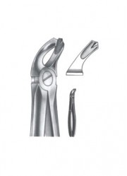 Extracting Forceps - English Pattern