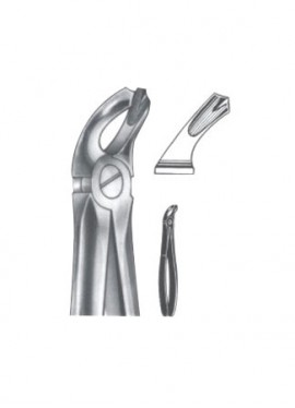 Extracting Forceps - English Pattern