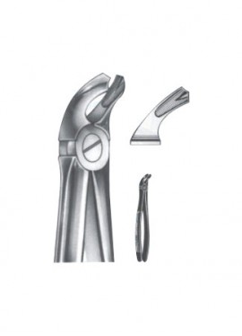 Extracting Forceps - English Pattern