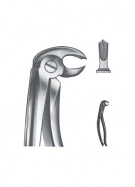 Extracting Forceps - English Pattern