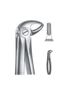 Extracting Forceps - English Pattern