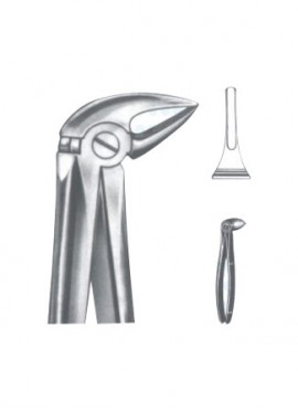 Extracting Forceps - English Pattern