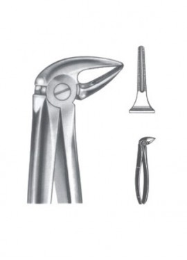 Extracting Forceps - English Pattern