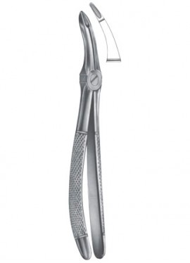 Extracting Forceps - English Pattern